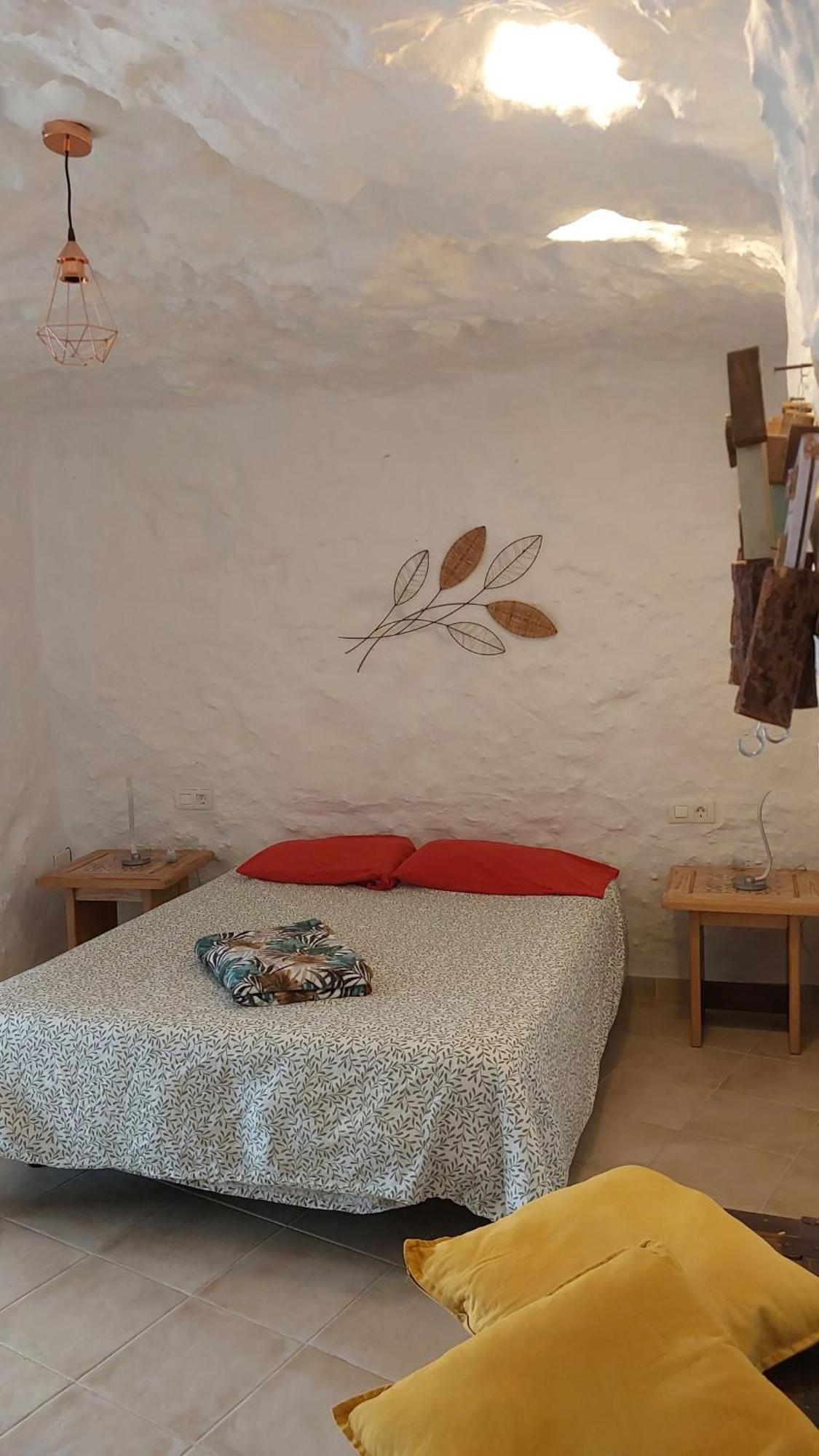 Casa Rural Alessia With Jacuzzi ,Garden & Swimming Pool 圣克鲁斯-德特内里费 外观 照片